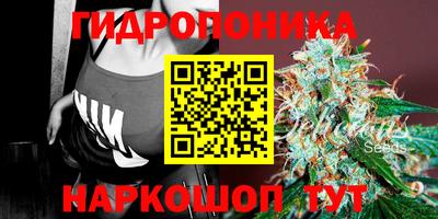 прущие грибы Балашиха