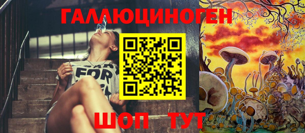 Псилоцибиновые грибы GOLDEN TEACHER Елец