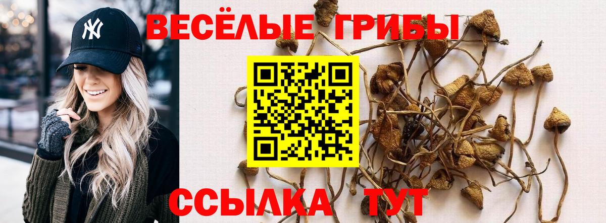 Елец  Галлюциногенные грибы Cubensis  Вход с VPN 