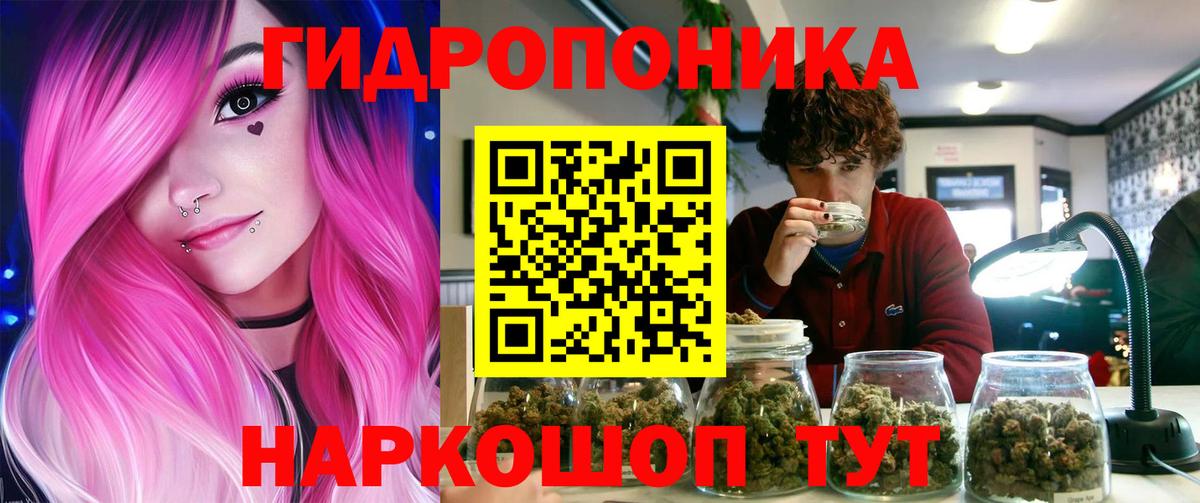 Шишки марихуана индика Елец