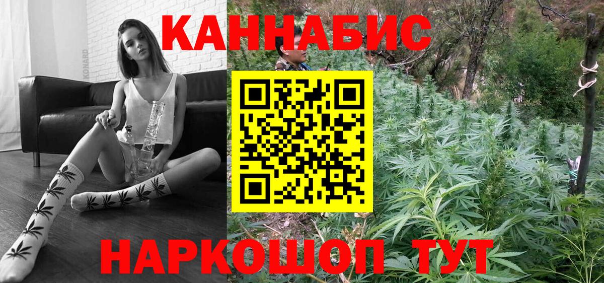 Бошки Шишки индика  Марихуана тримм  Вход с VPN  Марихуана гибрид  Елец  Канабис White Widow 